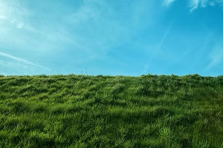 Grass source photo